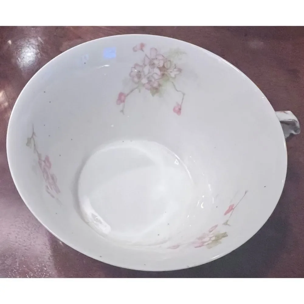 Porcelain Haviland Limoges France tea cup saucer pink green floral gold accent